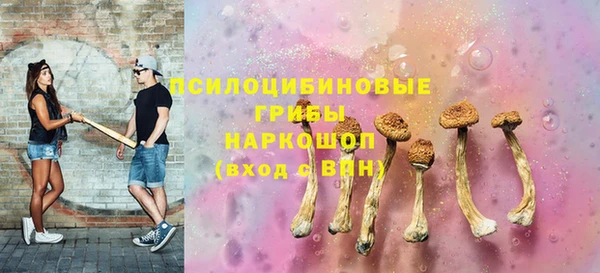 кокс Бородино